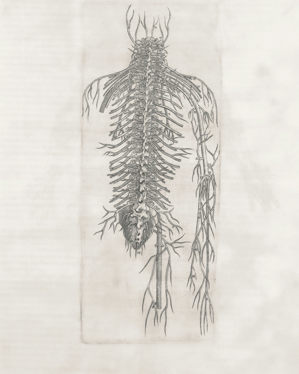 Konsultacja neurologiczna – rozmowa z pacjentem